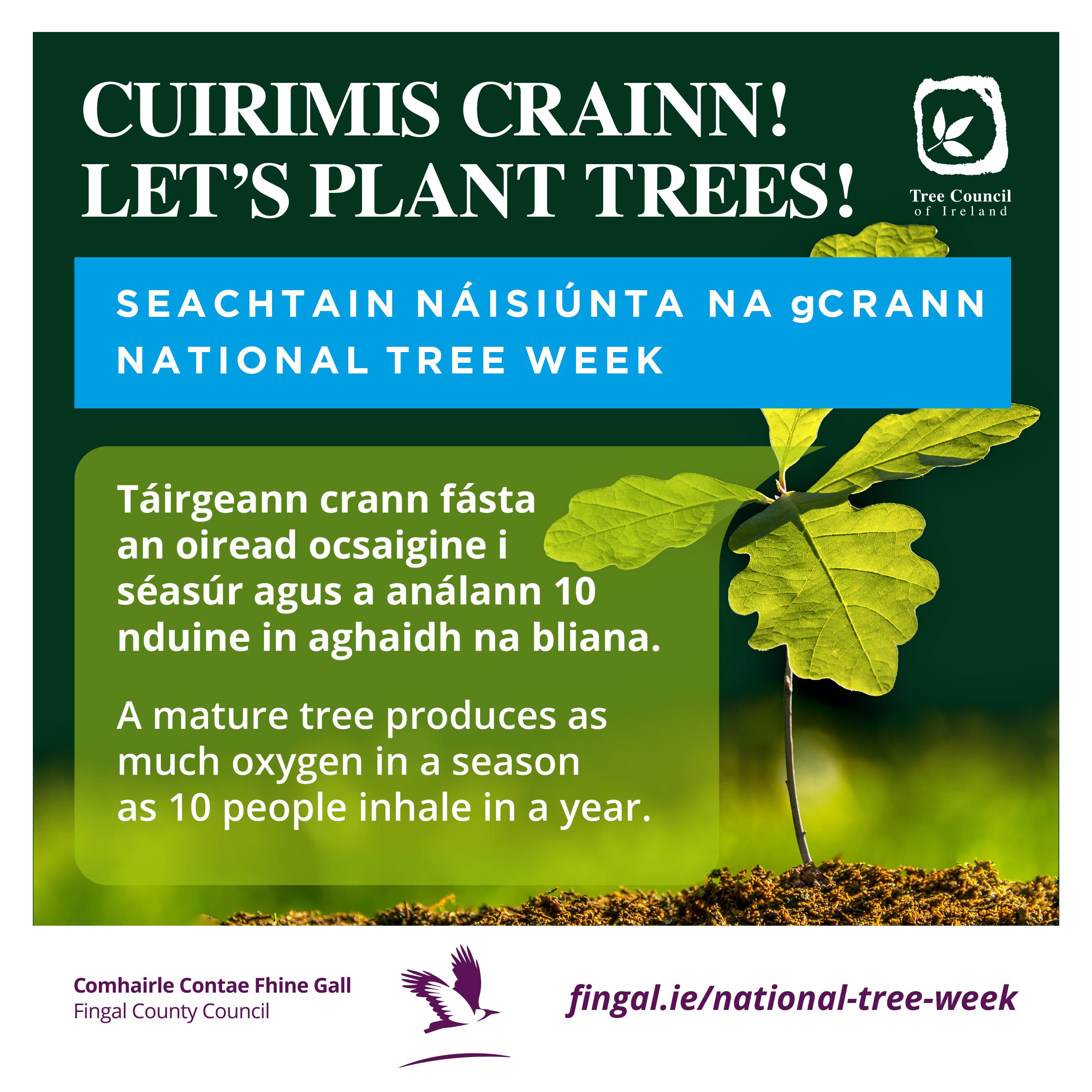 National Tree Week in Fingal 2024 Fingal County Council